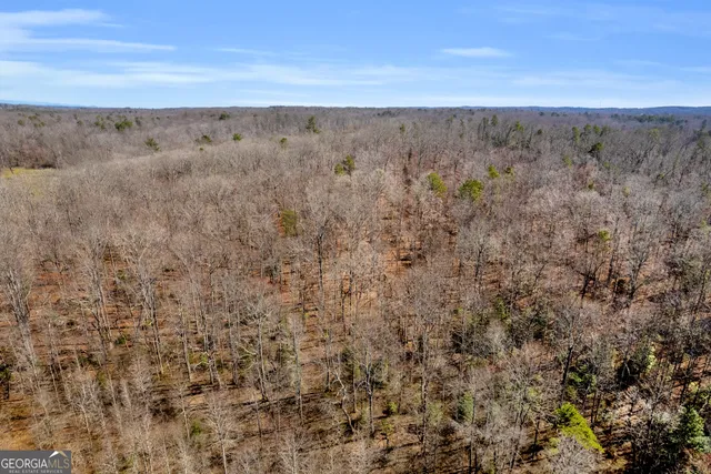 $375,000 | 0 Gladston Road, Mount Airy, GA 30563