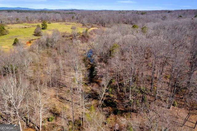 $375,000 | 0 Gladston Road, Mount Airy, GA 30563