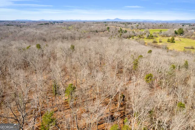 $375,000 | 0 Gladston Road, Mount Airy, GA 30563