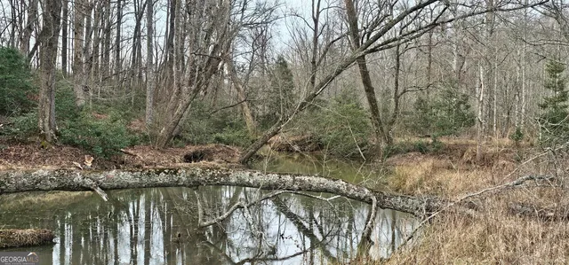 $375,000 | 0 Gladston Road, Mount Airy, GA 30563