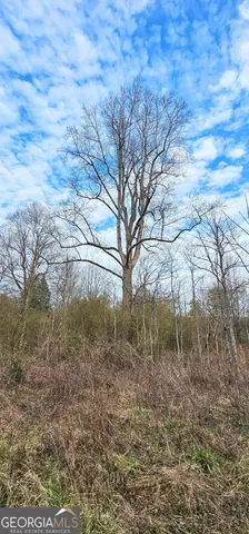 $375,000 | 0 Gladston Road, Mount Airy, GA 30563