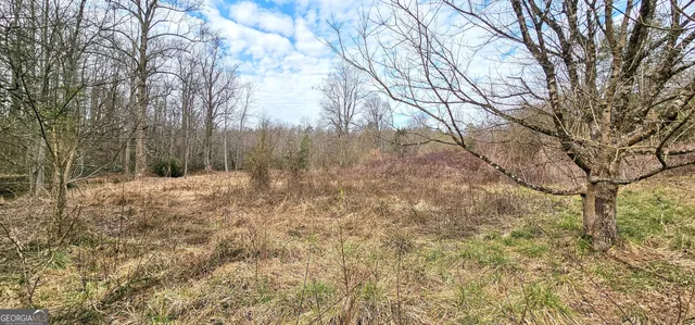 $375,000 | 0 Gladston Road, Mount Airy, GA 30563