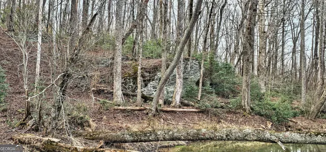 $375,000 | 0 Gladston Road, Mount Airy, GA 30563