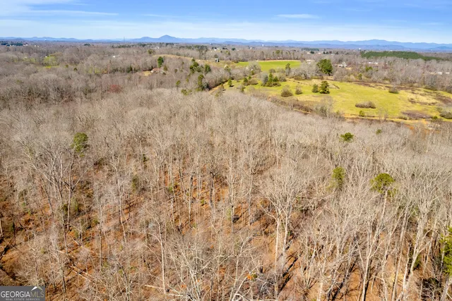 $375,000 | 0 Gladston Road, Mount Airy, GA 30563