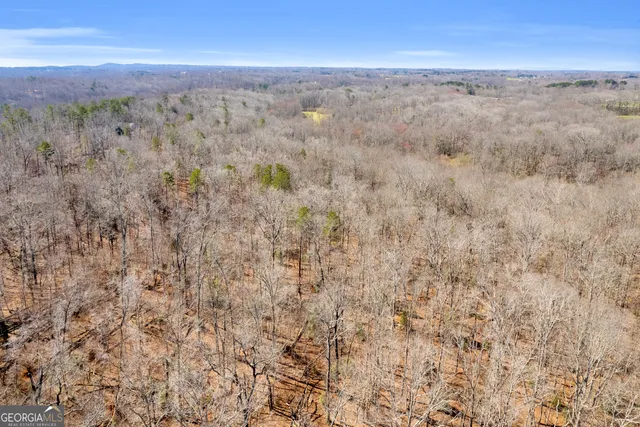 $375,000 | 0 Gladston Road, Mount Airy, GA 30563