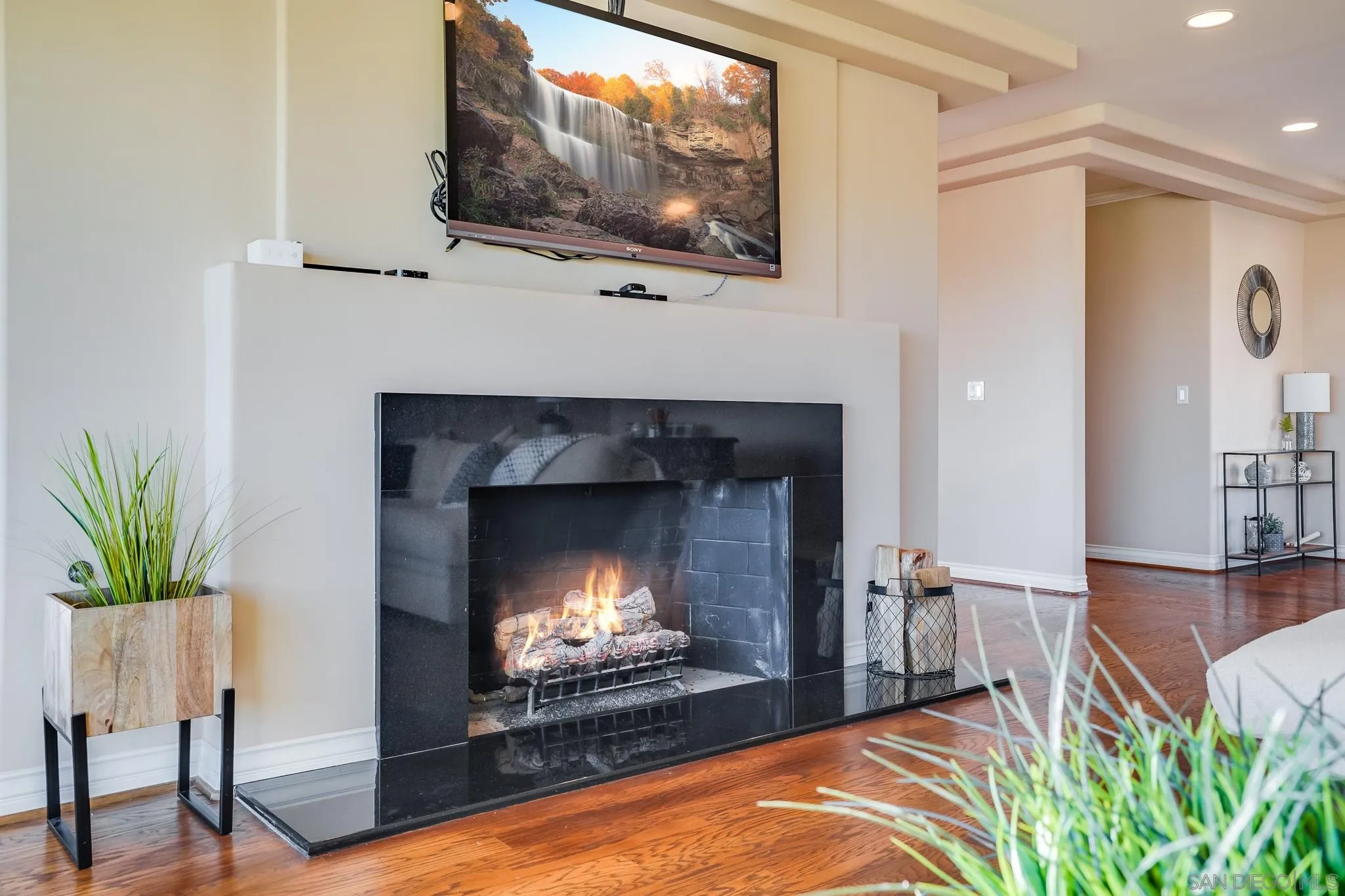 5730 Rutgers Road La Jolla, CA 92037 - Photo 27 of 54 a living room with a fireplace a flat screen tv and a potted plant