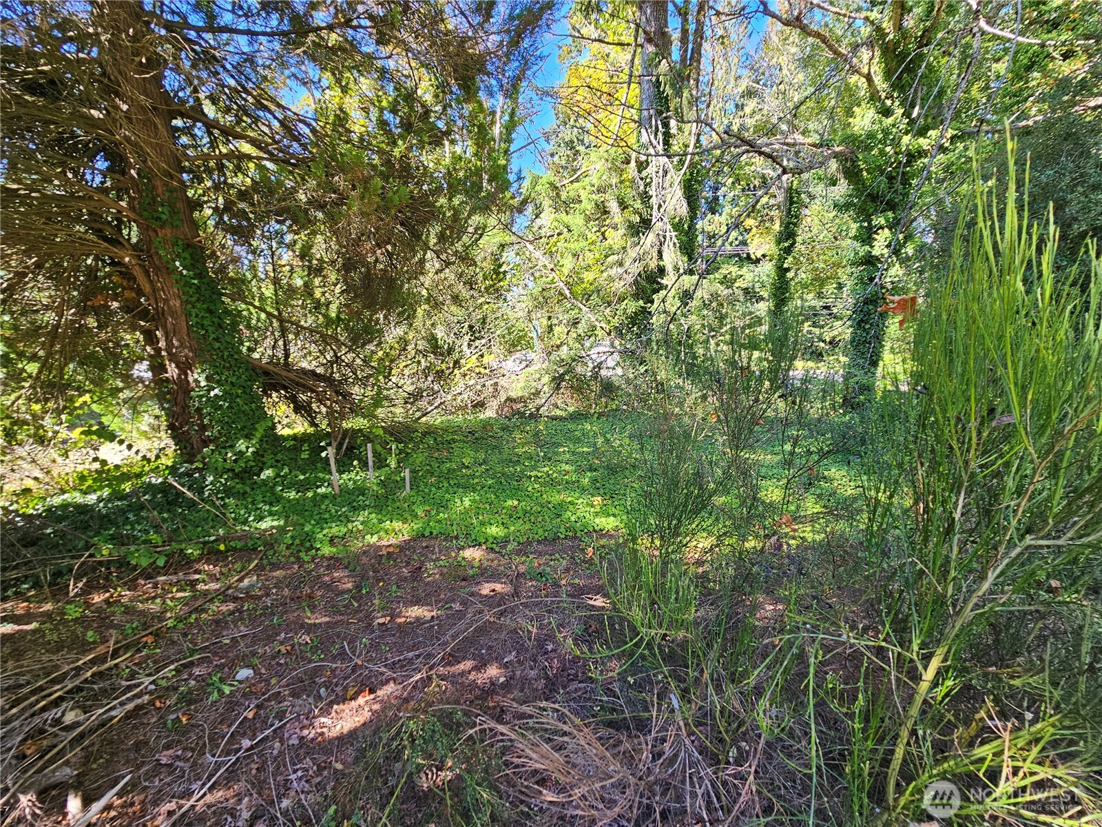22550 Highway 3 Belfair, WA 98528 - Photo 11 of 21