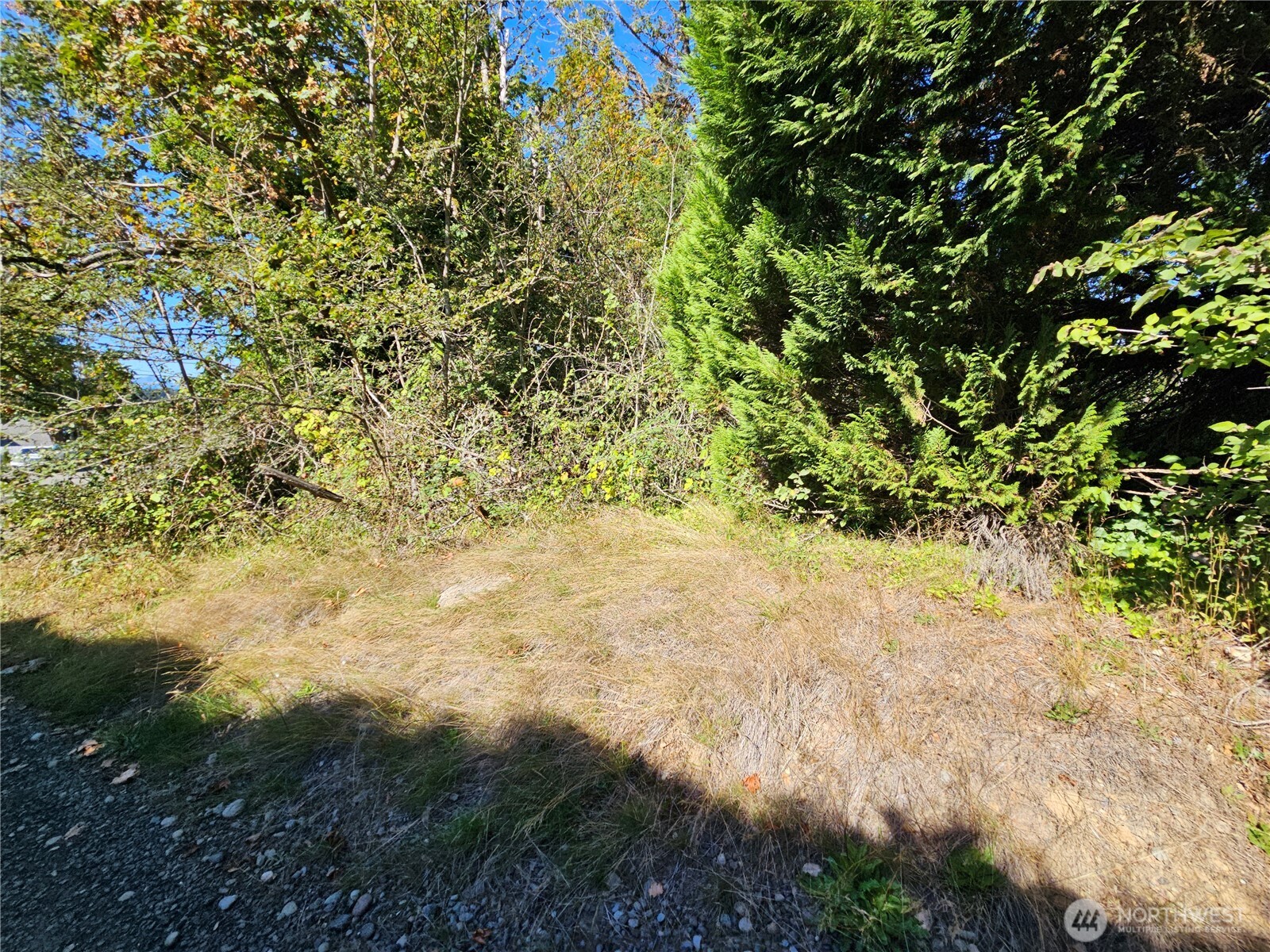 22550 Highway 3 Belfair, WA 98528 - Photo 16 of 21
