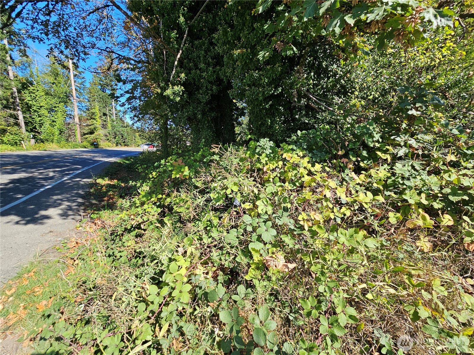 22550 Highway 3 Belfair, WA 98528 - Photo 18 of 21