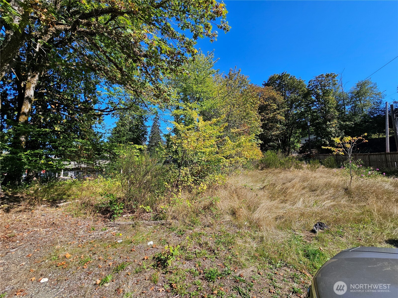 22550 Highway 3 Belfair, WA 98528 - Photo 3 of 21