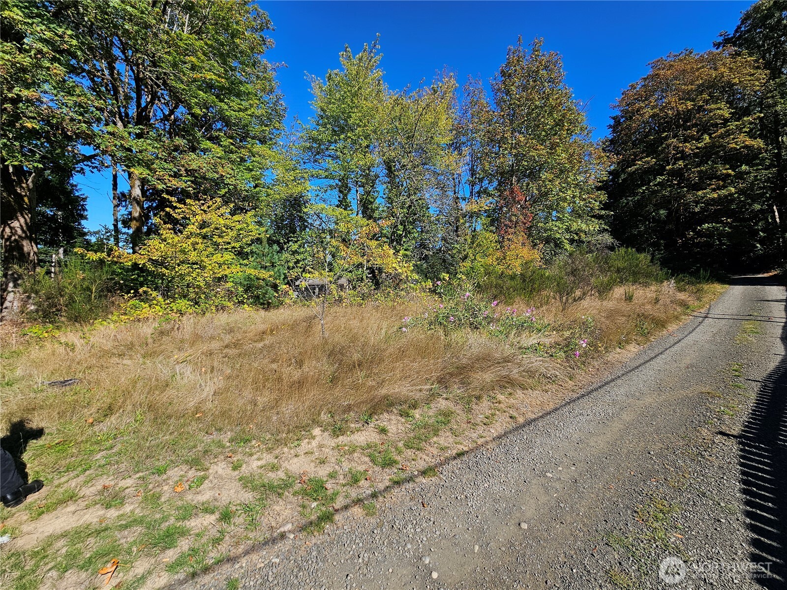22550 Highway 3 Belfair, WA 98528 - Photo 5 of 21