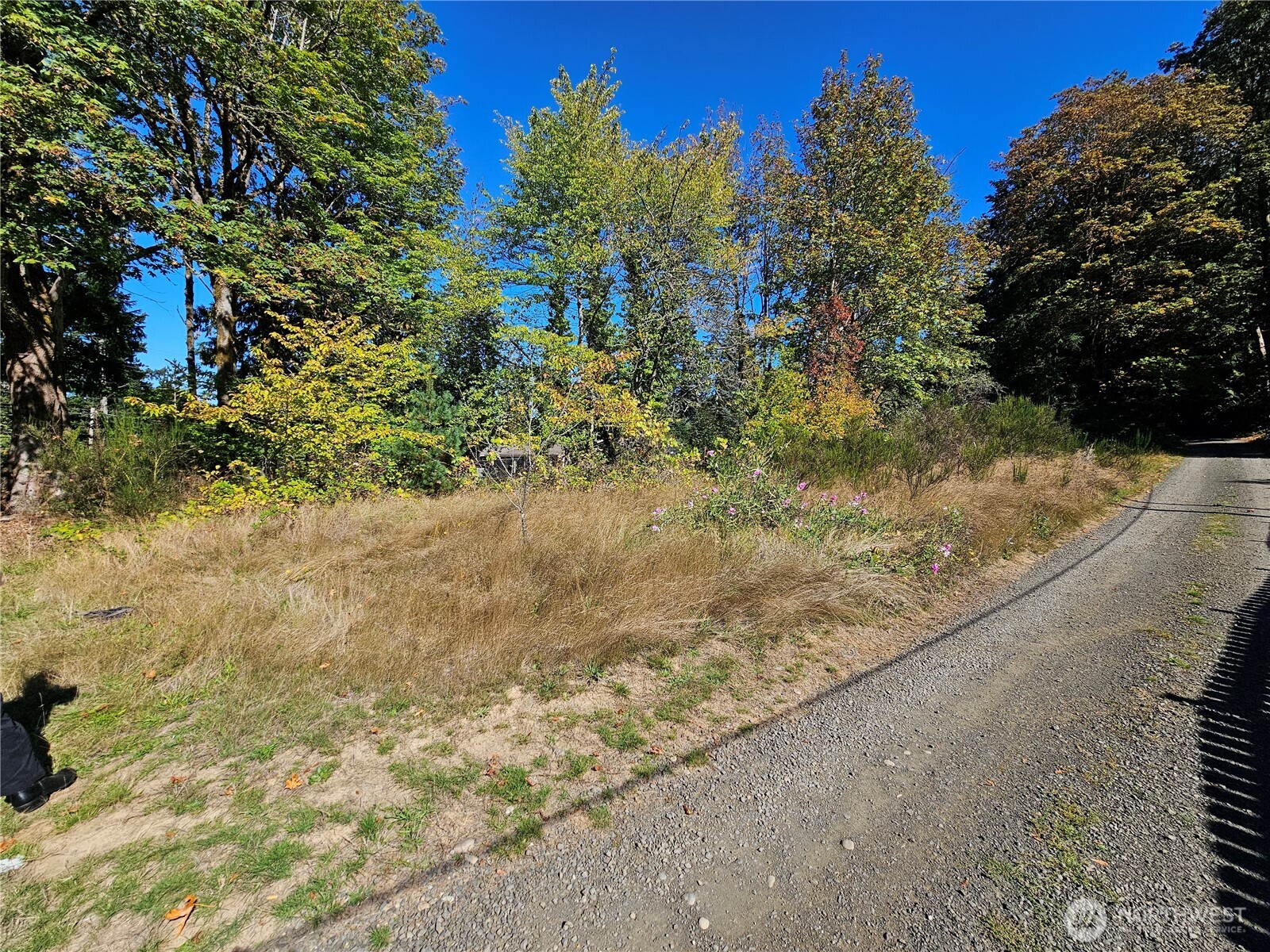 22550 Highway 3 Belfair, WA 98528 - Photo 6 of 21