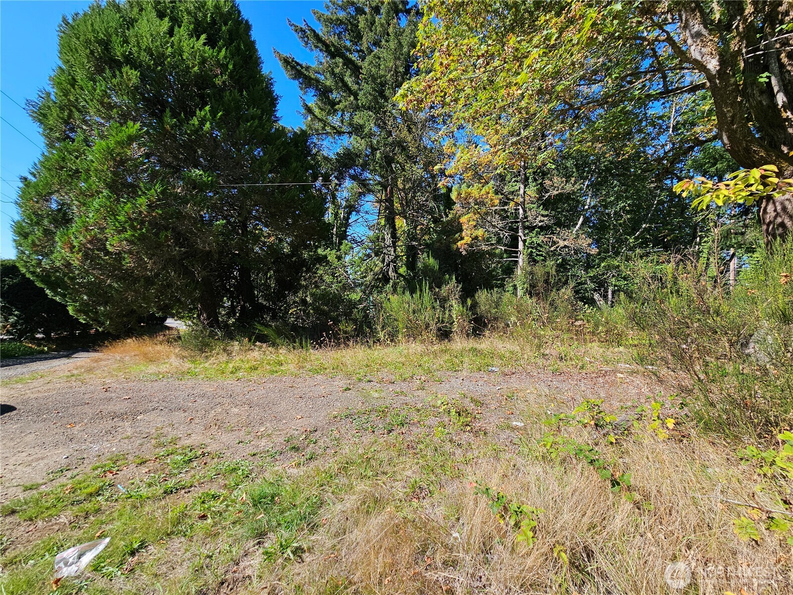 22550 Highway 3 Belfair, WA 98528 - Photo 10 of 21