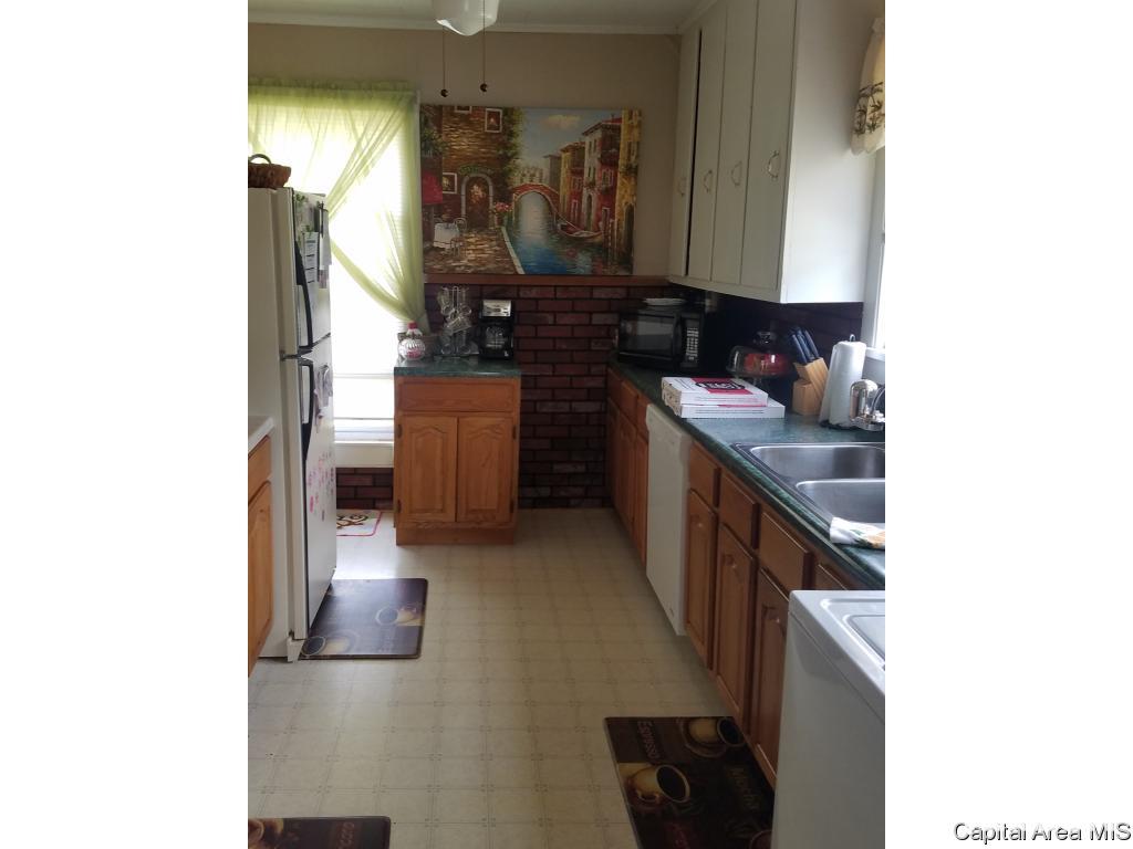 227 West North Street Roodhouse, IL 62082 - Photo 3 of 5