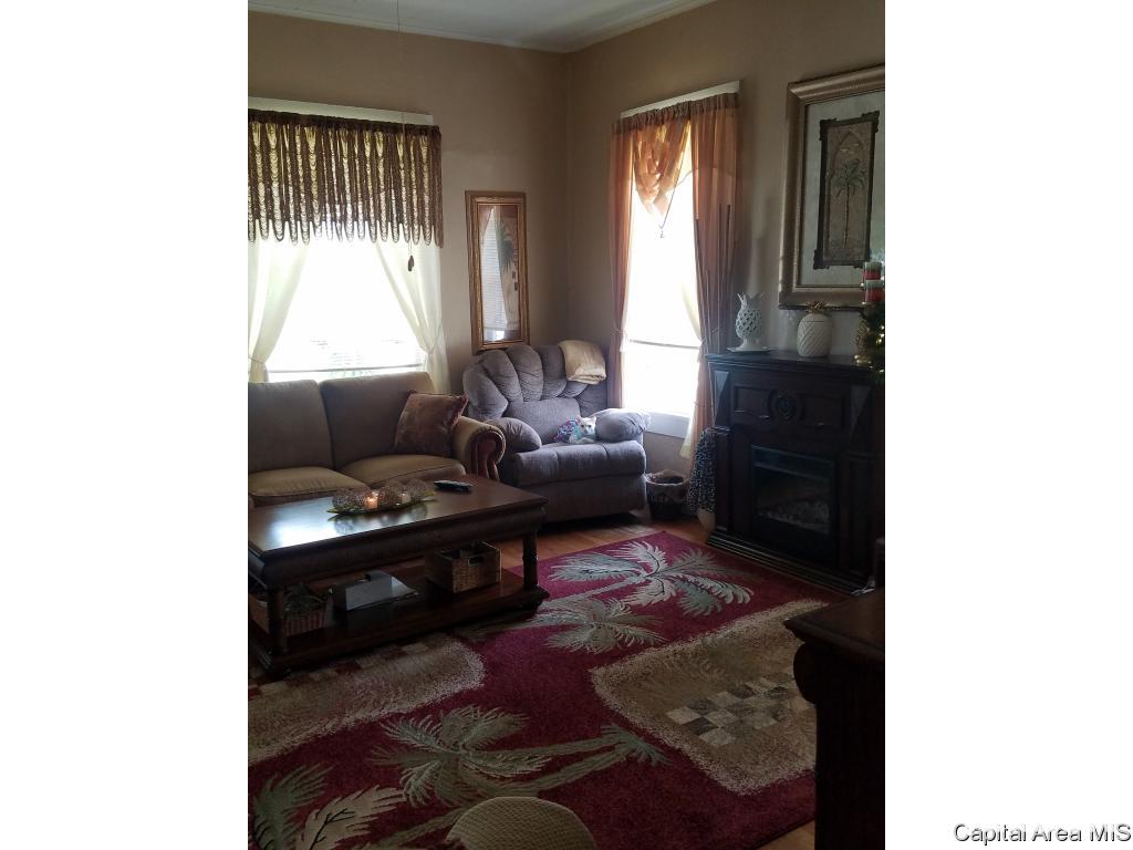 227 West North Street Roodhouse, IL 62082 - Photo 4 of 5