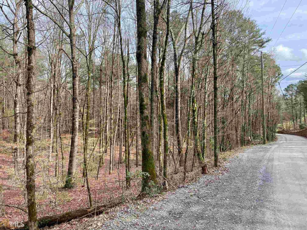 0 Pettit Road, Unit 14AC Ellijay, GA 30536 - Photo 1 of 1 Gallery Image 1