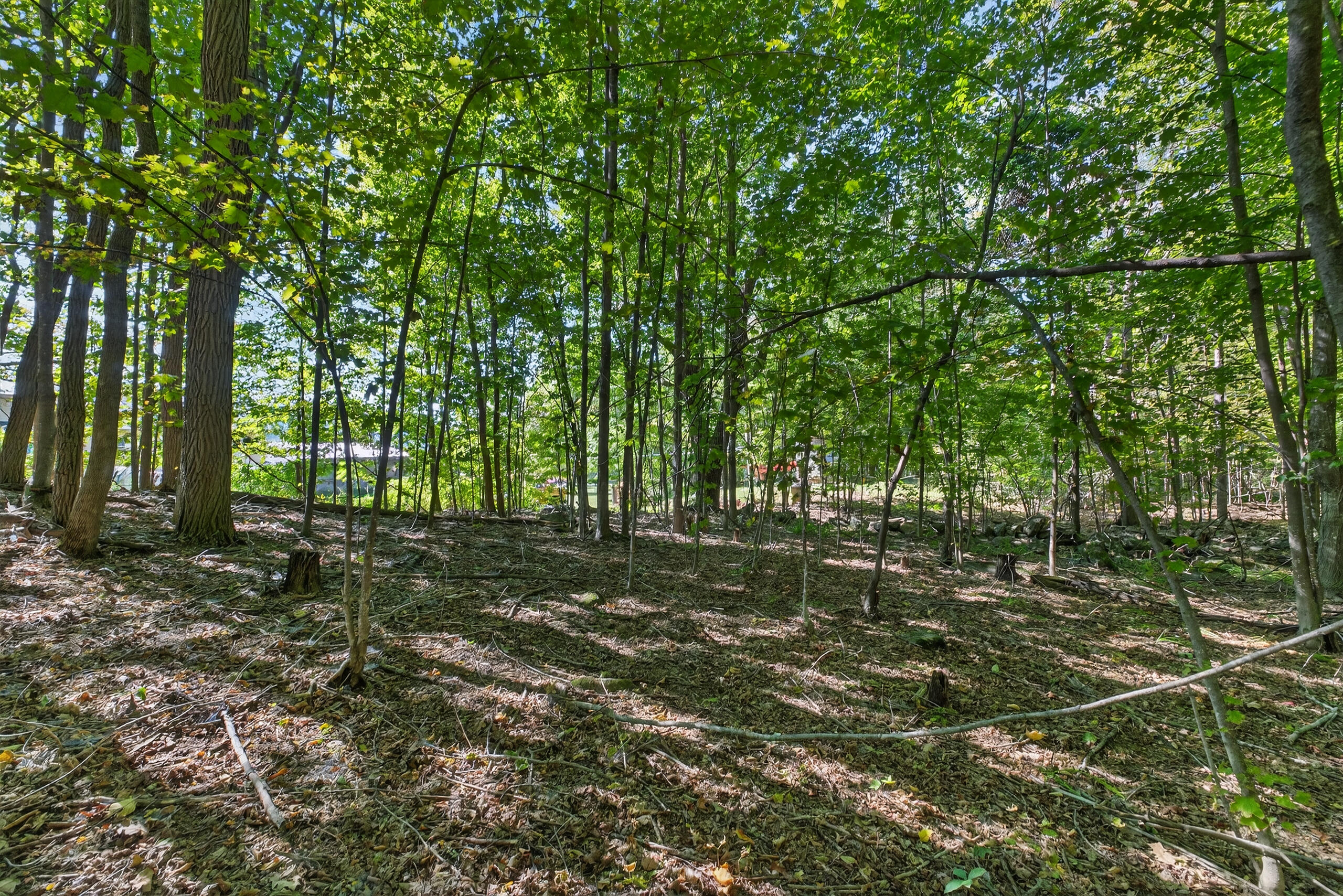 Tbd Elm Street Springvale, ME 04083 - Photo 13 of 25
