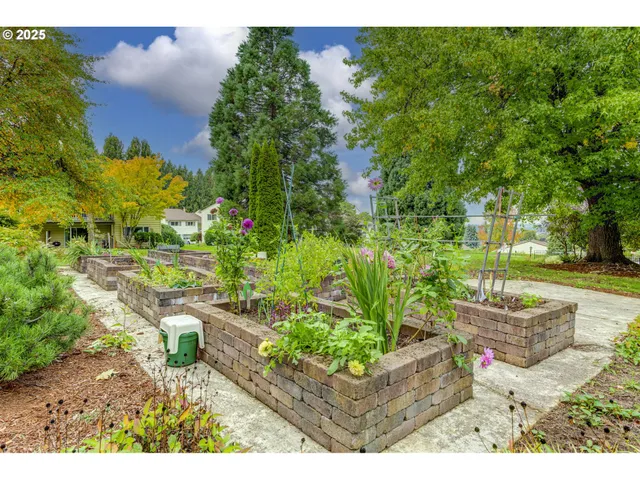 a view of a swimming pool with a yard