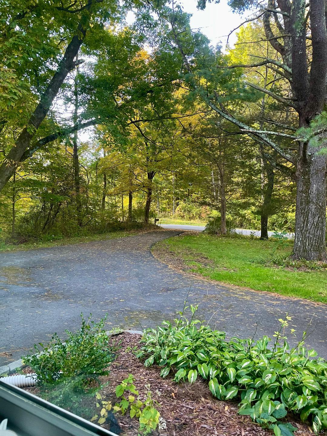 129 Gypsy Point Road Leeds, NY 12451 - Photo 6 of 6 a view of a yard with plants and trees