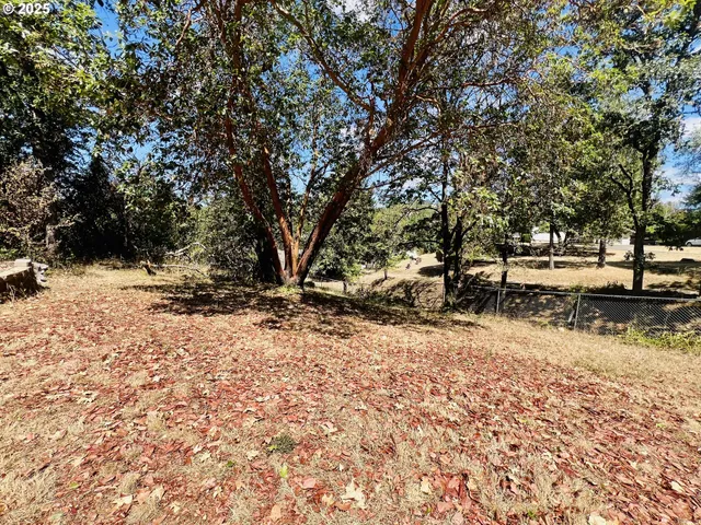 a view of a snow on the side of the road