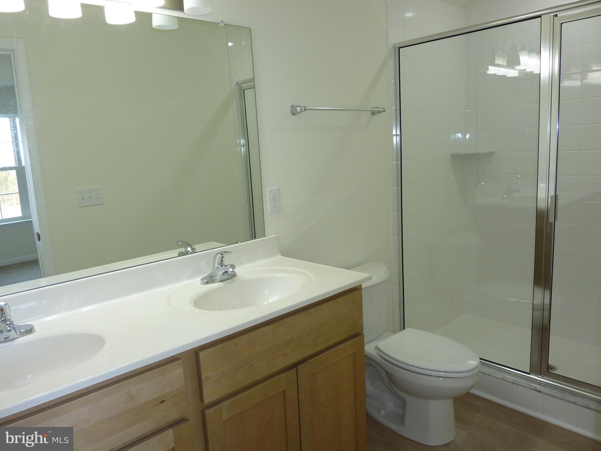 256 Doylestown Road Smyrna, DE 19977 - Photo 18 of 33 Owner's Bath