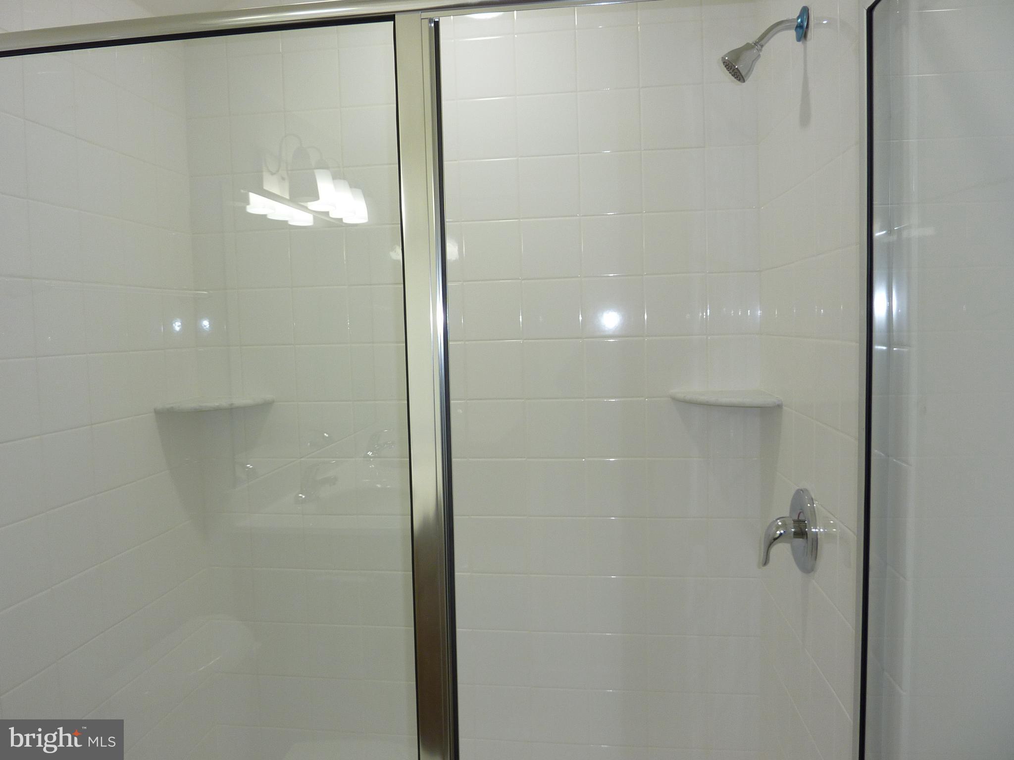 256 Doylestown Road Smyrna, DE 19977 - Photo 20 of 33 Owner's Bath