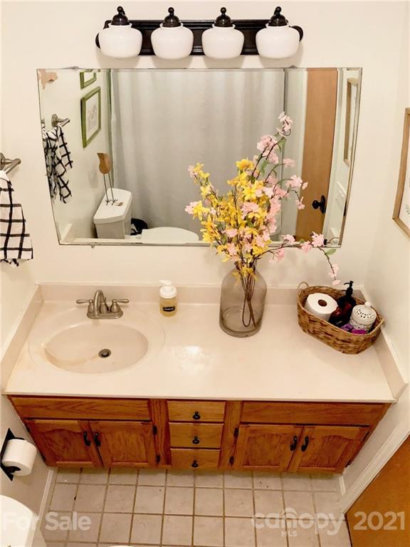 181 Echo Drive Laurel Park, NC 28739 - Photo 14 of 28 a close view of sink