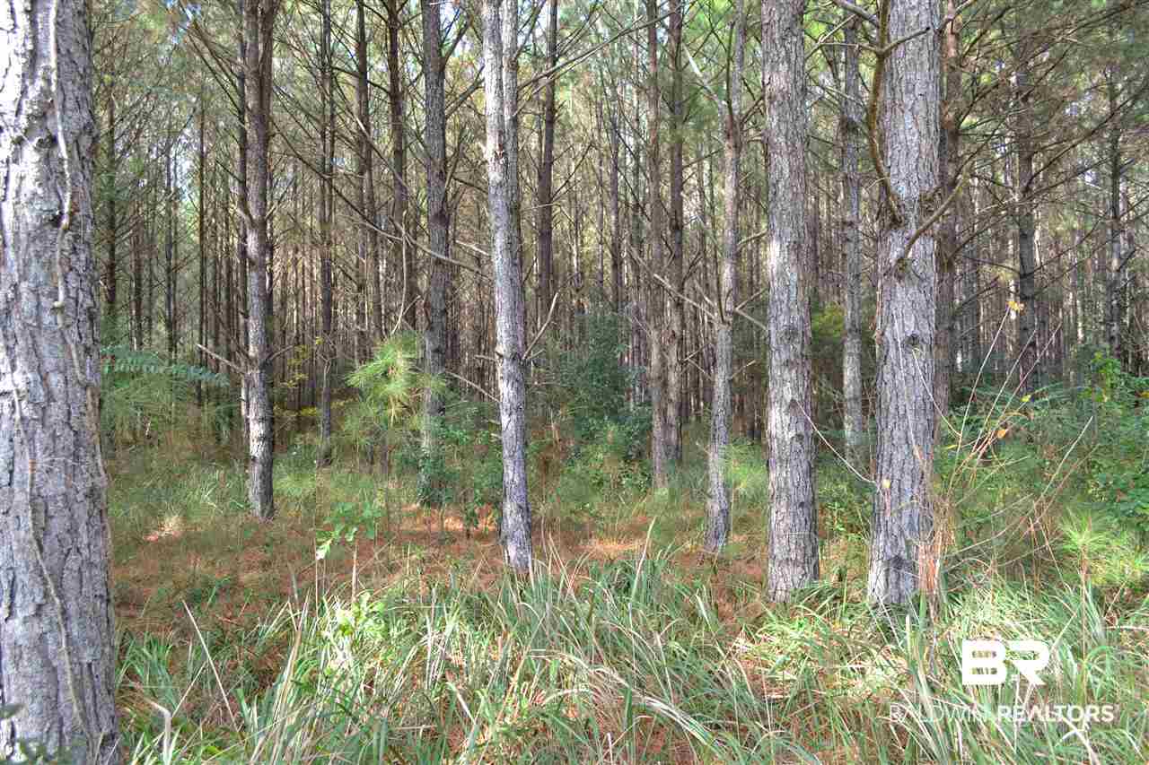 20751 Keller Road Foley, AL 36535 - Photo 31 of 44