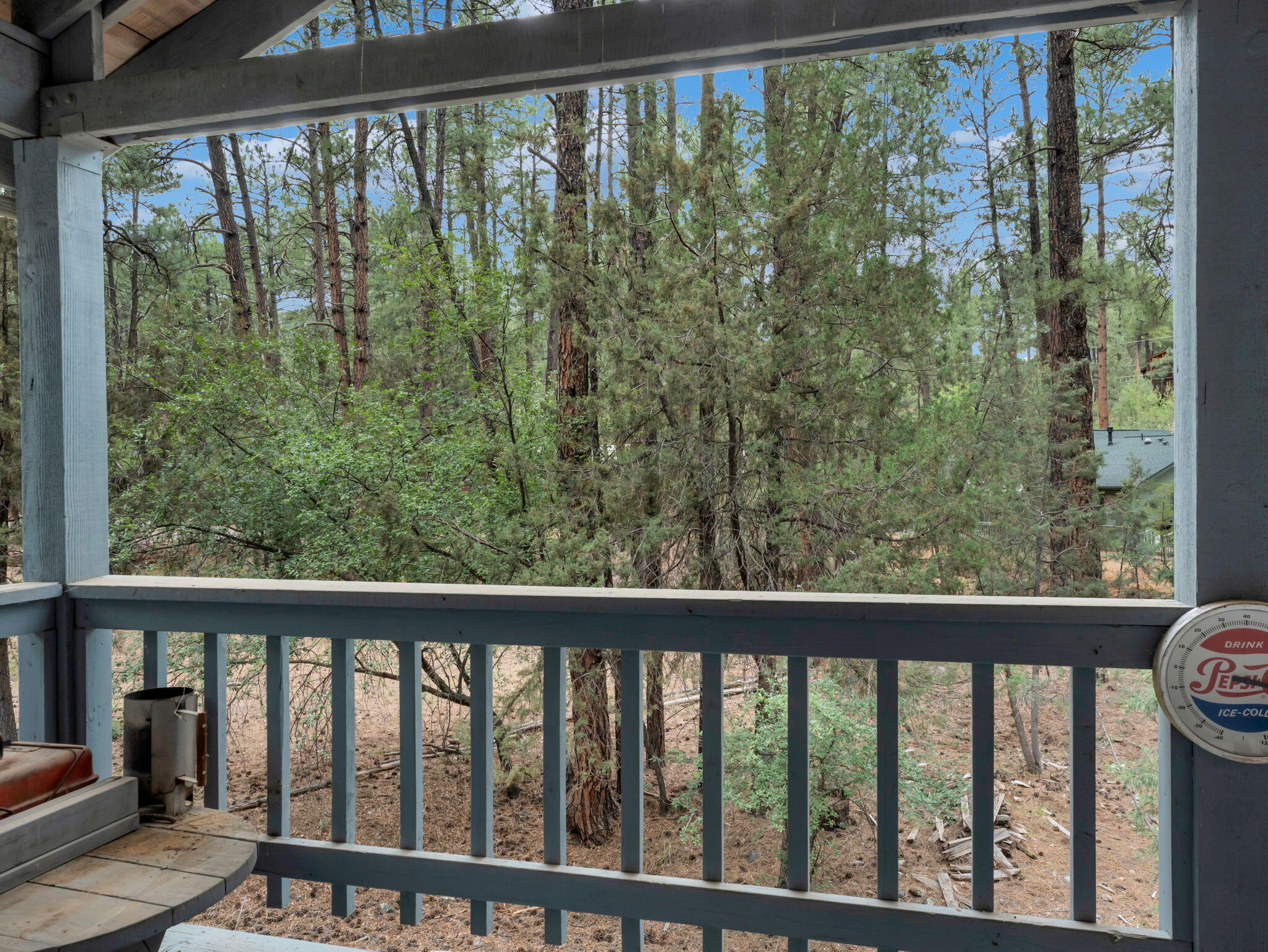 6368 Sharyn Road Pine, AZ 85544 - Photo 32 of 39