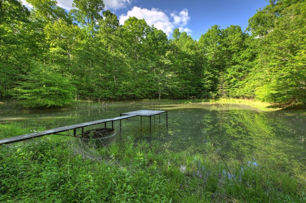 8.52 Ac Mcnelley Road Morganton, GA 30560 - Photo 3 of 47