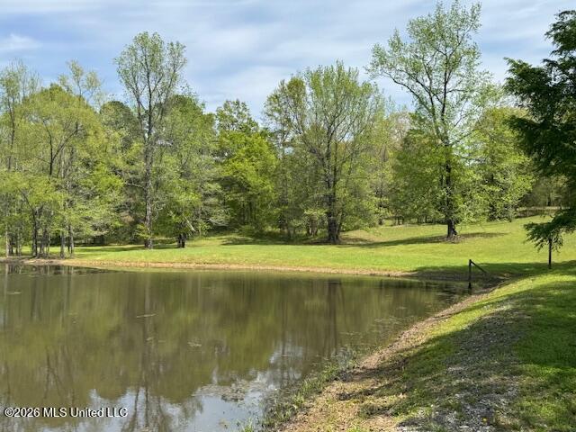 349 West Cox Road Byhalia, MS 38611 - Photo 17 of 25 IMG_2363