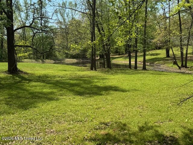 349 West Cox Road Byhalia, MS 38611 - Photo 18 of 25 IMG_2369