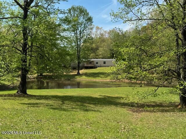 349 West Cox Road Byhalia, MS 38611 - Photo 2 of 25 IMG_2367