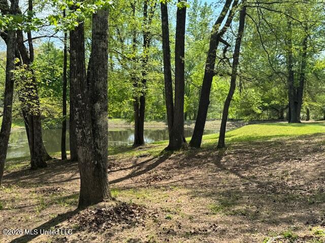 349 West Cox Road Byhalia, MS 38611 - Photo 22 of 25 IMG_2375