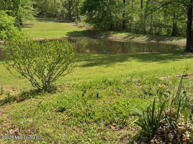 349 West Cox Road Byhalia, MS 38611 - Photo 25 of 25 IMG_2379