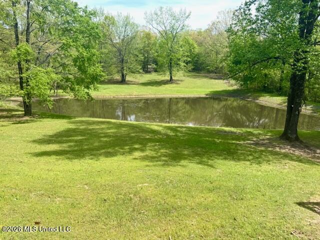 349 West Cox Road Byhalia, MS 38611 - Photo 3 of 25 IMG_2347