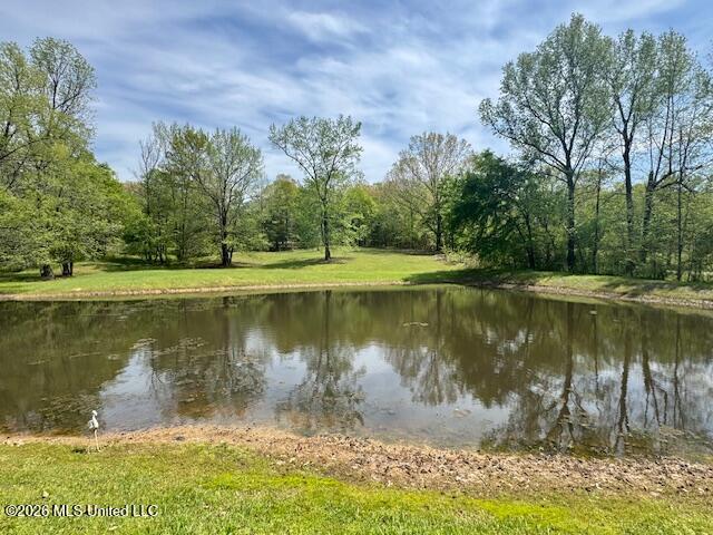 349 West Cox Road Byhalia, MS 38611 - Photo 5 of 25 IMG_2362