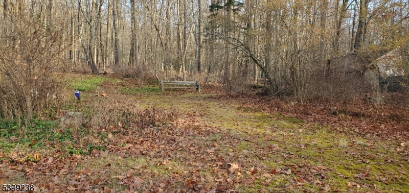 148 Mt Grove Road Califon, NJ 07830 - Photo 15 of 17