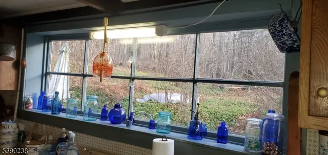 a room with wooden floor and a potted plant