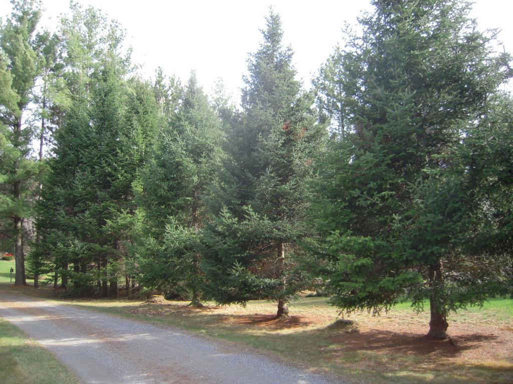 4677 East Bakersfield Road Bakersfield, VT 05450 - Photo 23 of 33