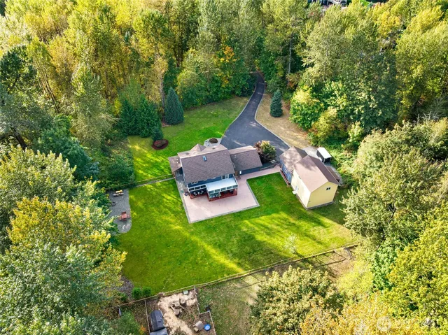 a view of a garden with plants