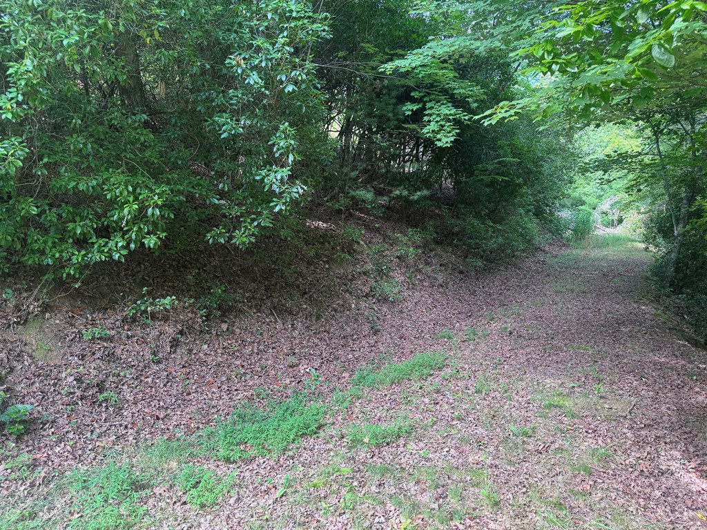 39 Fiddlers Way Brasstown, NC 28902 - Photo 4 of 7
