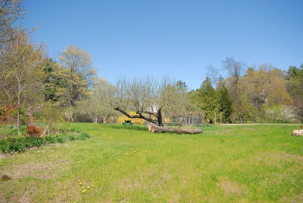 239 Stow Road Harvard, MA 01451 - Photo 30 of 35 Gallery Image 30