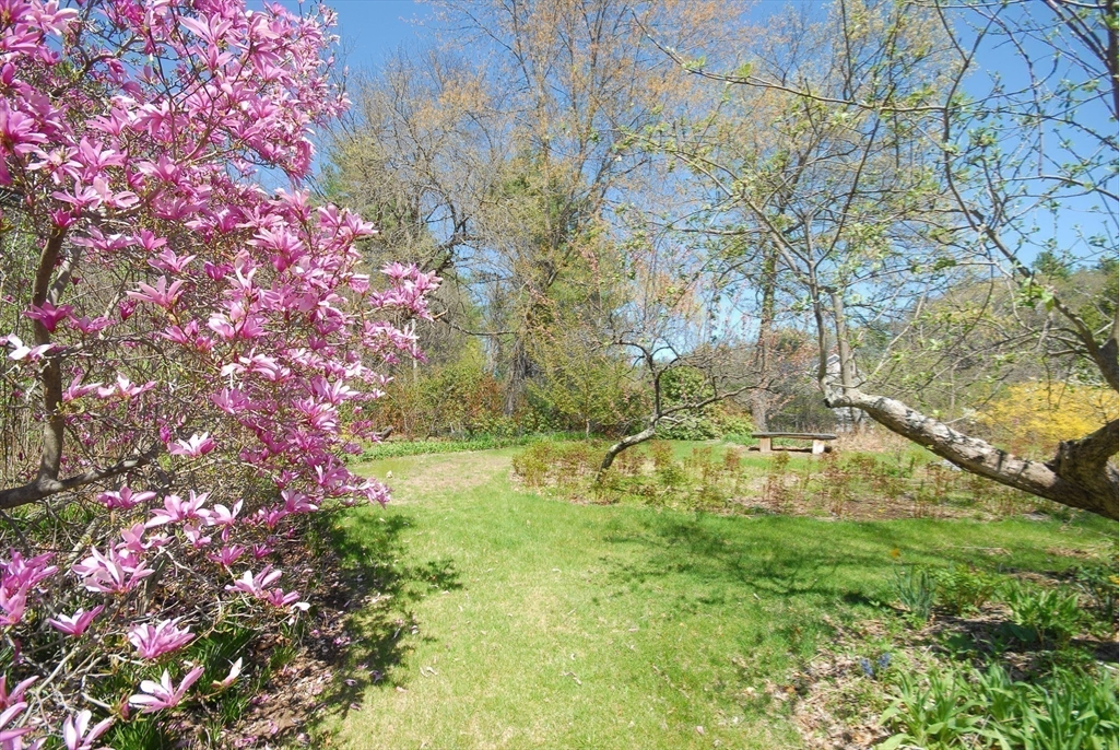 239 Stow Road Harvard, MA 01451 - Photo 33 of 35 Gallery Image 33