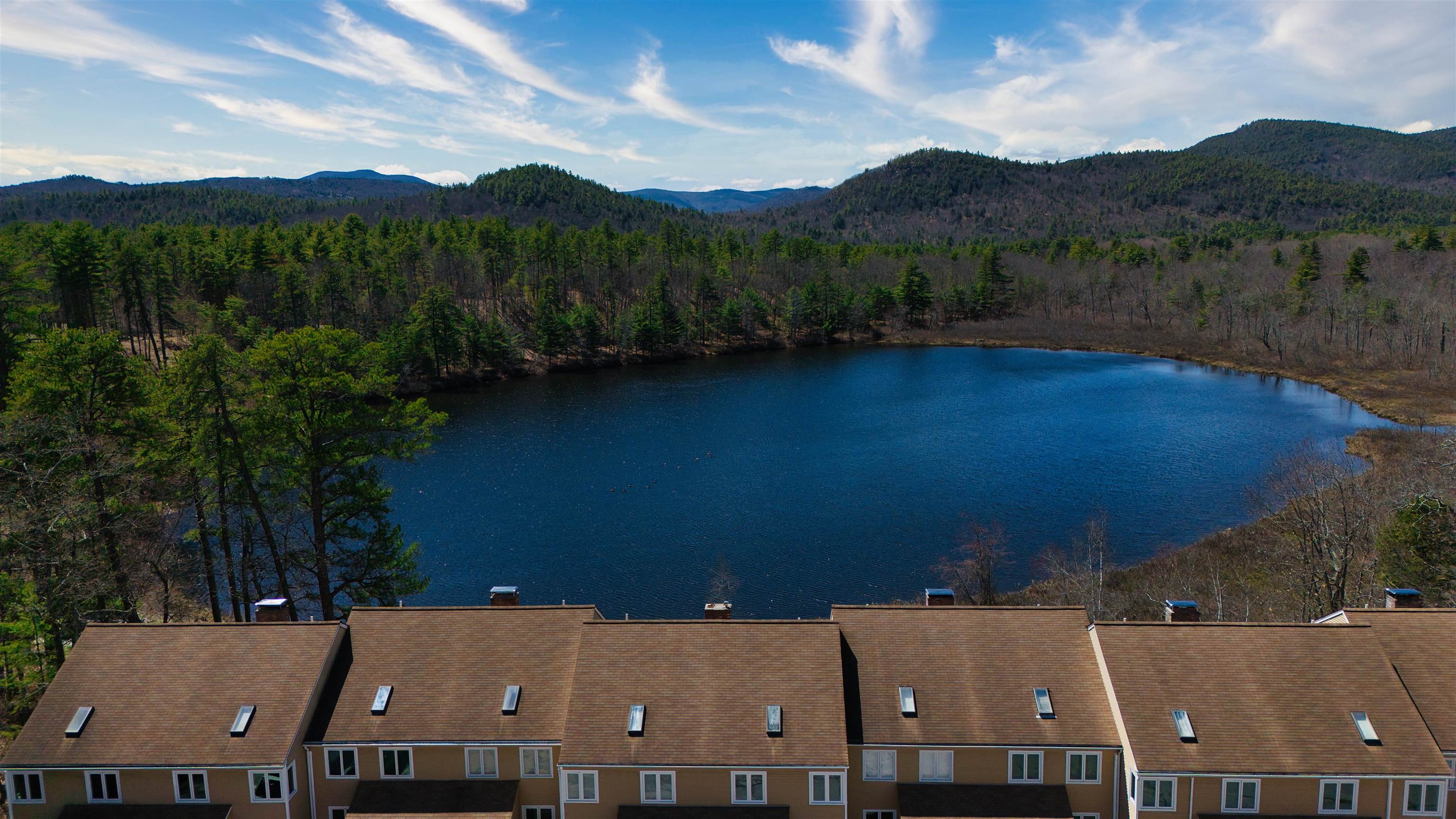50 Patch Pond Road, Unit 13 Ossipee, NH 03814 - Photo 57 of 60
