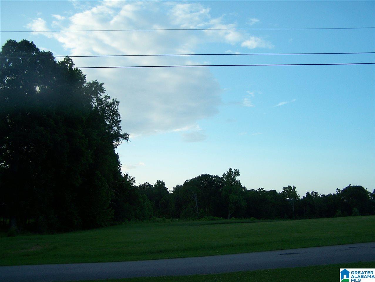 Mercedes Lane Cleveland, AL 35049 - Photo 4 of 9