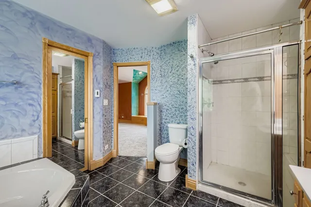 a bathroom with a shower and a toilet
