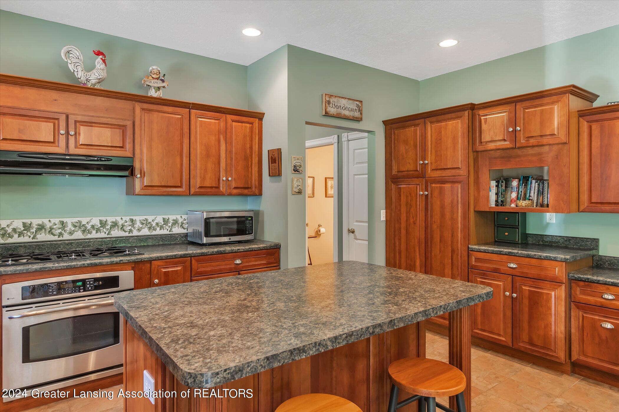 3282 North Canal Road Dimondale, MI 48821 - Photo 10 of 42 15-3282 North Canal Rd-WindowStill-