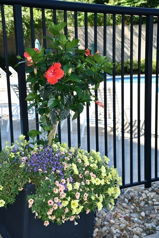 36 Village Road, Unit 713 Middleton, MA 01949 - Photo 36 of 39 a flower plants sitting in front of a building