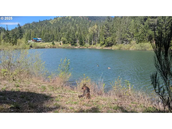$895,000 | 2999 Speaker Road, Wolf Creek, OR 97497